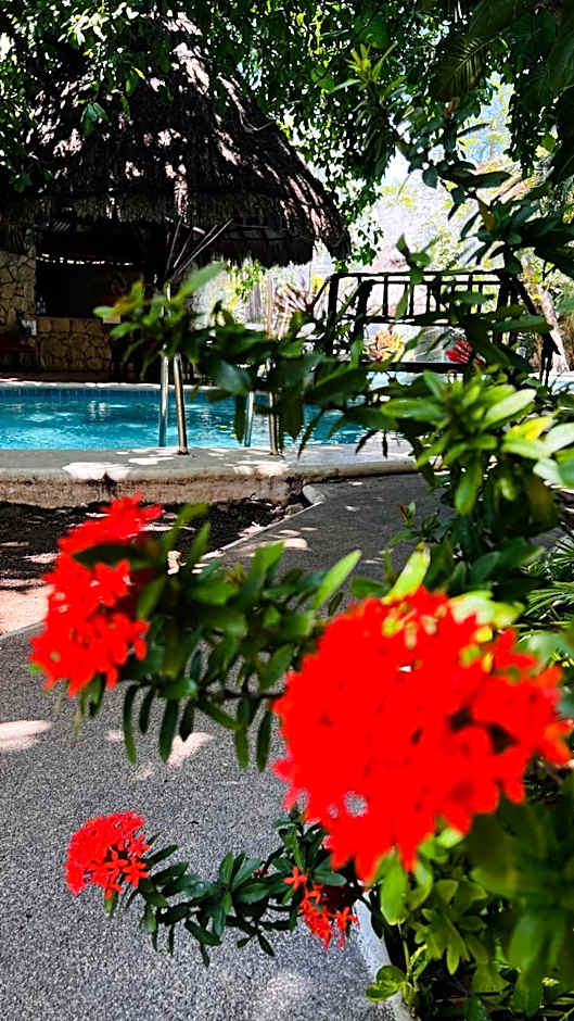 Mayan Art Hotel 10 Avenue