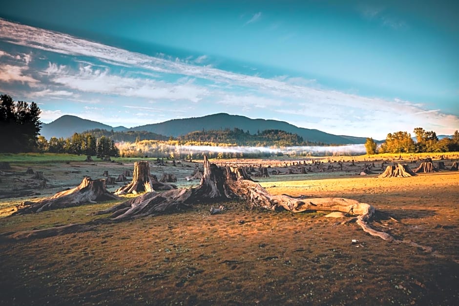 Gateway Inn & Cabins