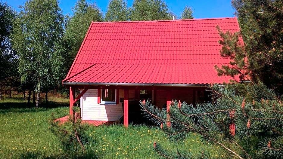 Domek Letniskowy przy lesie