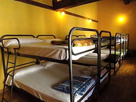 Bed in 10-Bed Mixed Dormitory Room