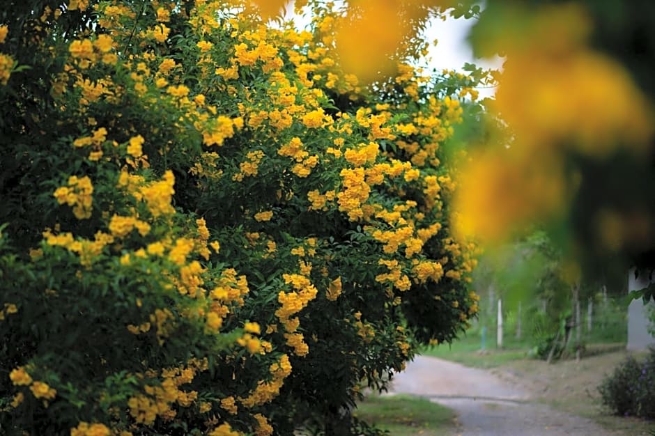 Green Me Organic Farm Khao Yai กรีนมี ออแกนิคฟาร์ม เขาใหญ่