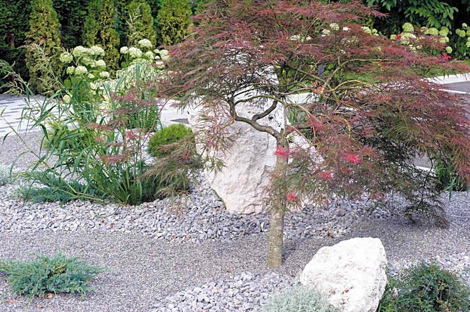 Apartments Villa Tatiana