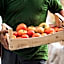 Botania Relais & Spa - The Leading Hotels of the World