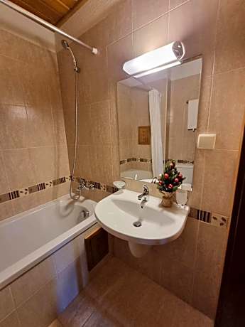 King Studio with Sofa Bed