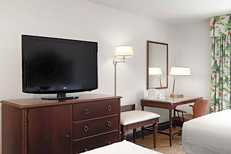 Deluxe Double Room with Pool View