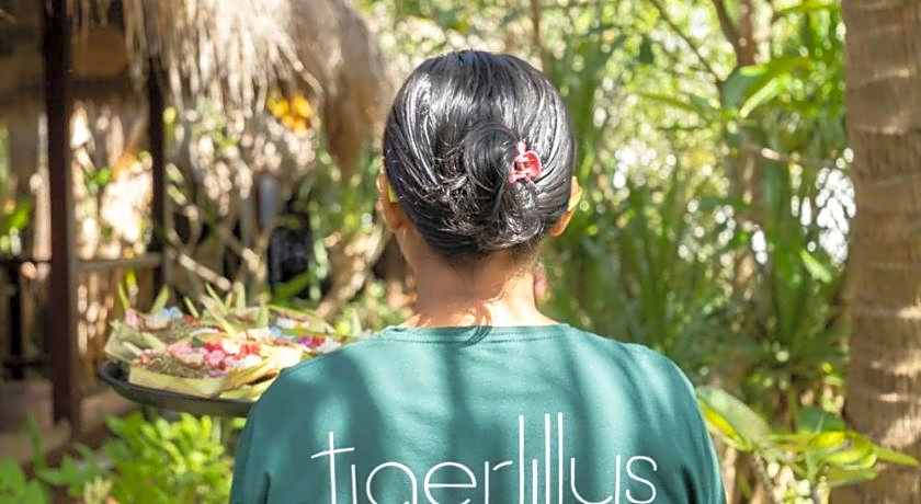 Tigerlilly's Boutique Hotel