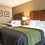 Comfort Inn & Suites Piqua-Near Troy-I75