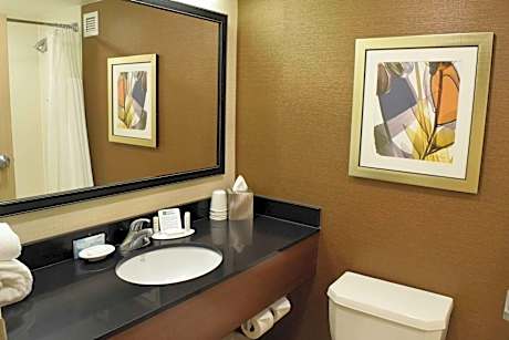 King Room with Bathtub and Sofa Bed - Mobility Access/Hearing Accessible