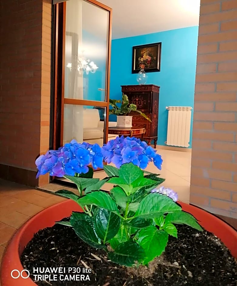 B&BYanet's Beautiful House