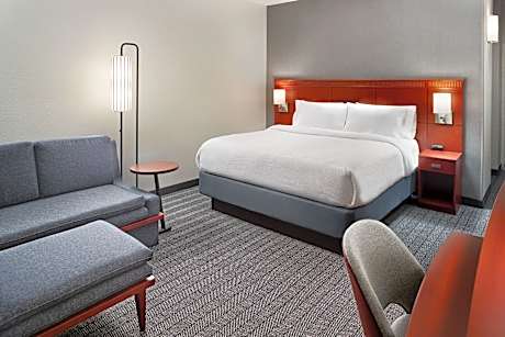 Room, 1 King Bed with Sofa bed (1 King Bed and 1 Double Sofa Bed)