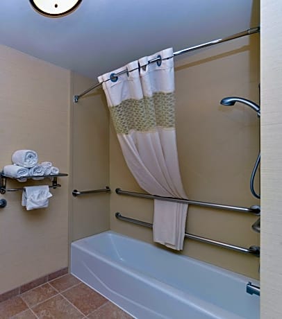 1 King Mobility/Hearing Access W/Tub Nonsmok