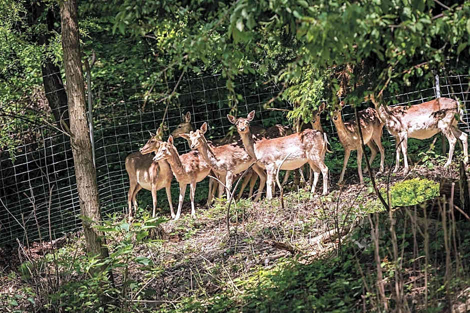 Parkhotel St.Leonhard