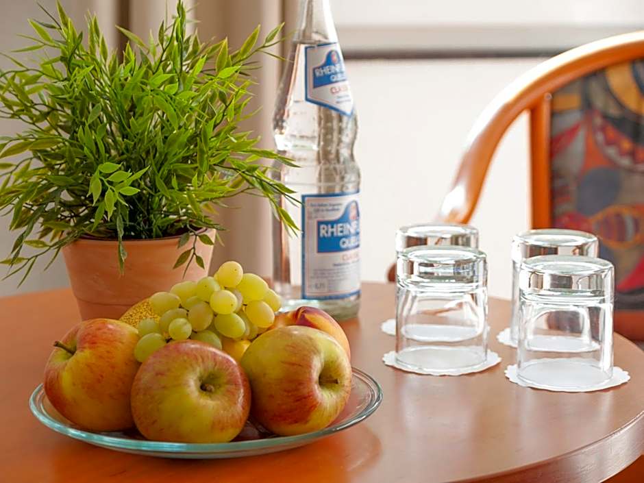 Trip Inn Hotel Schumann