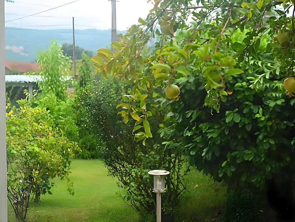 Senler Boutique Hotel