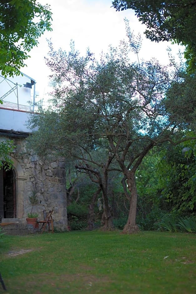 Fattoria La Tana della Volpe