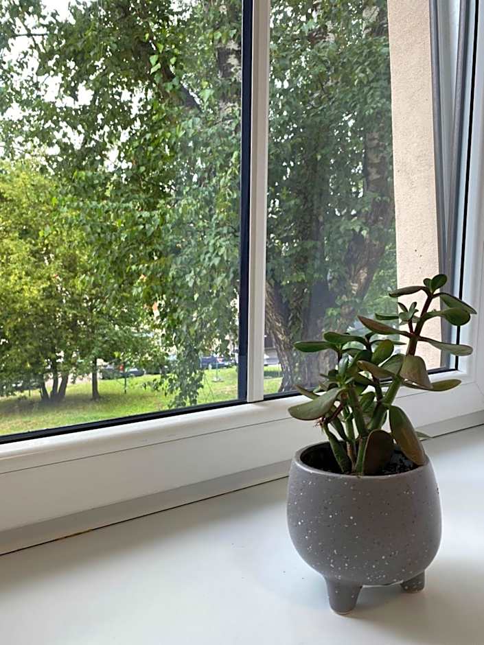 Neiroprakse Mini Hotel