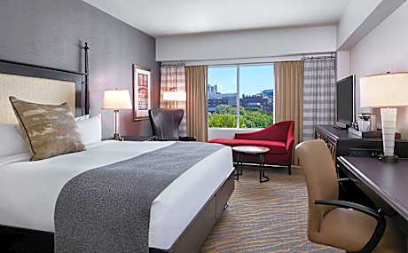 King Room