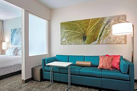 Suite, 1 King Bed with Sofa bed (Mobility Accessible, Tub) (1 King Bed and 1 Double Sofa Bed)