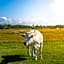 Camping Hotel Renesse