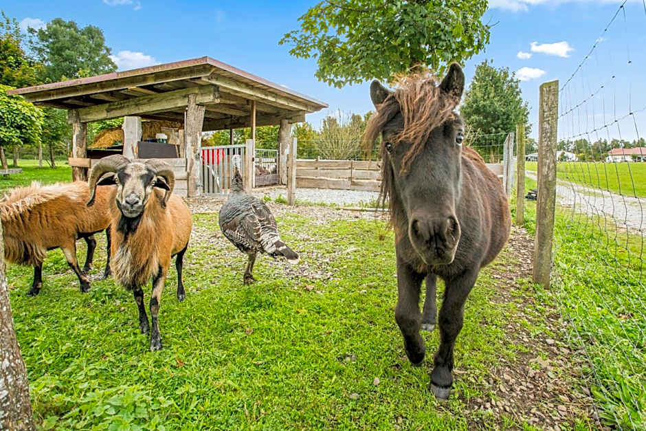 Hotel Hofgut Tiergarten