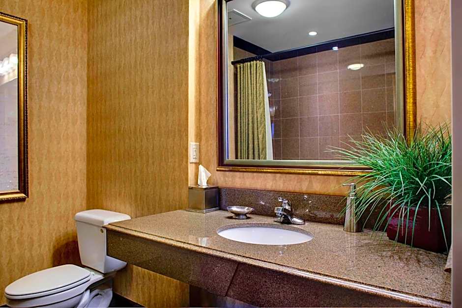 SpringHill Suites by Marriott Memphis Downtown