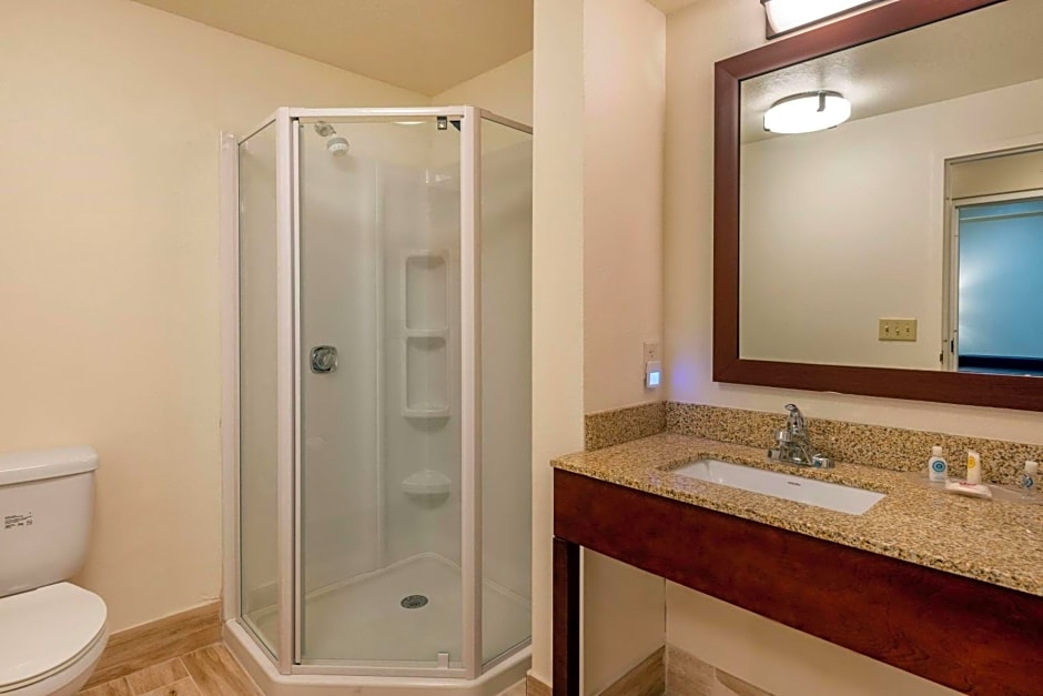 Comfort Suites Downtown