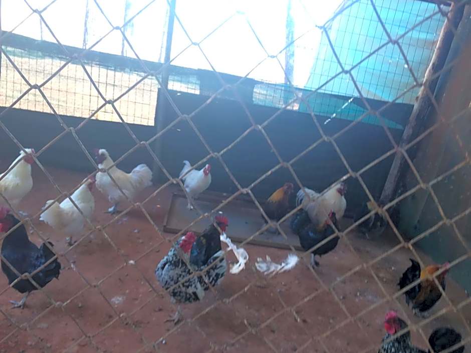 The Cradle Berry Farm