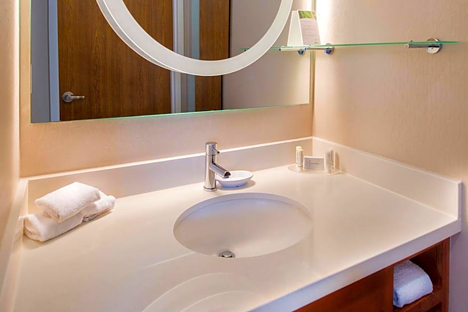SpringHill Suites by Marriott Pittsburgh Southside Works