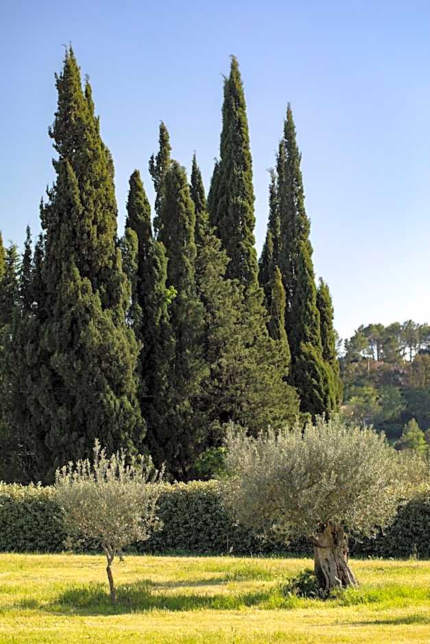 Domaine De La Chapelle