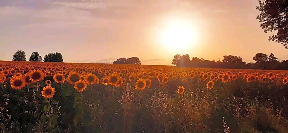 Casa Stella Country House