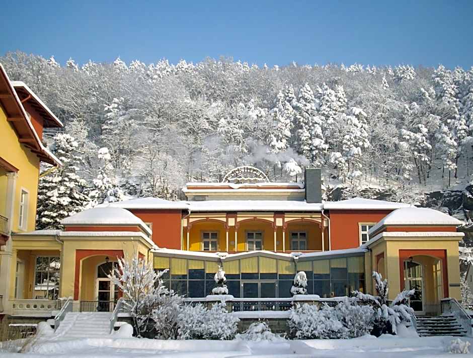Parkhotel Bad Schandau mit SPA