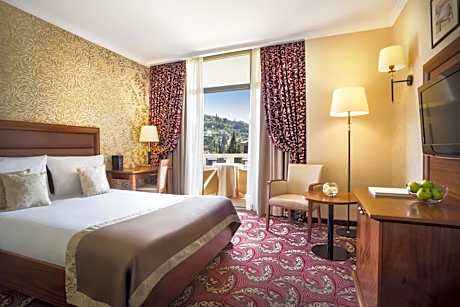 Standard Single Room with Balcony and Park View