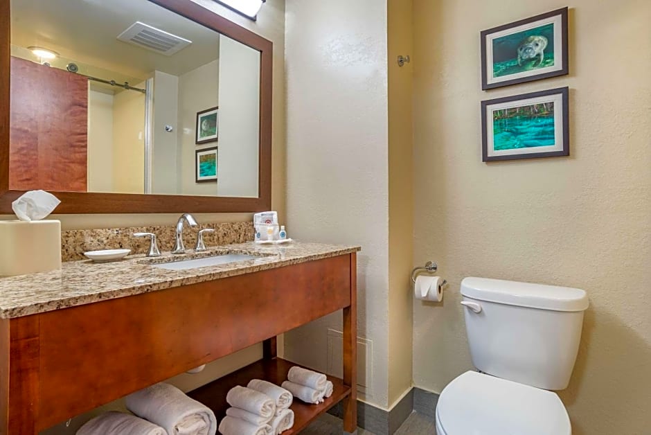 Comfort Suites Tallahassee Downtown