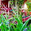Novos Baianos Hostel e Pousada