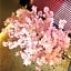 Sakura Sky Hotel - Vacation STAY 18432v