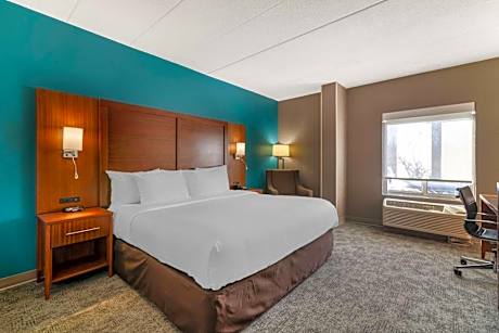 1 King Bed, Nonsmoking, Accessible