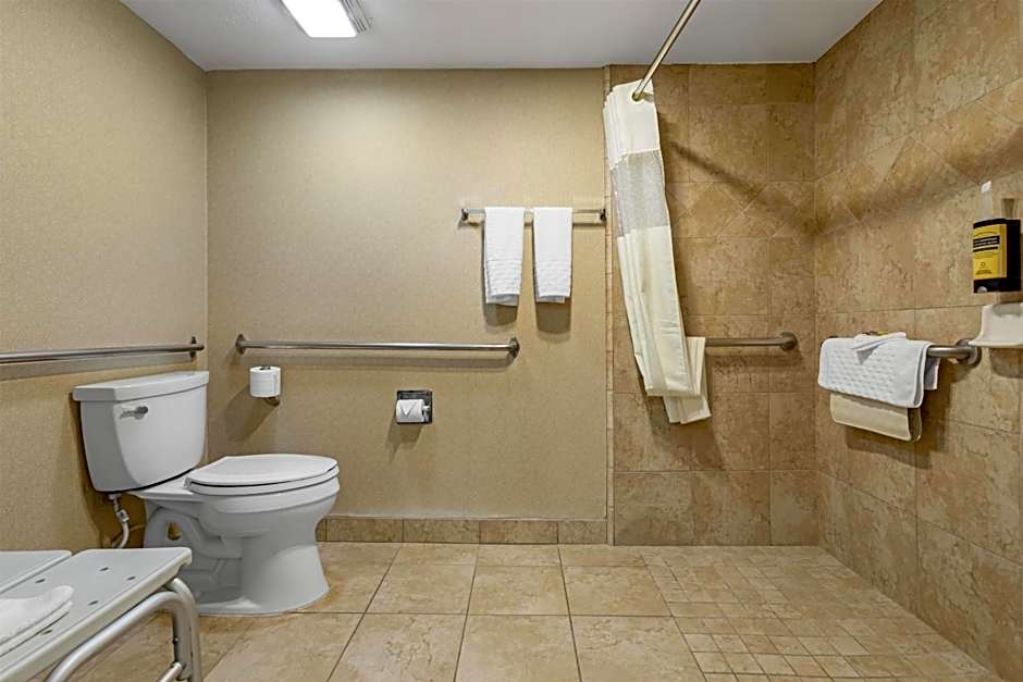 Best Western Plus Big America