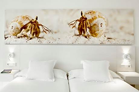 Suite 2 adults 