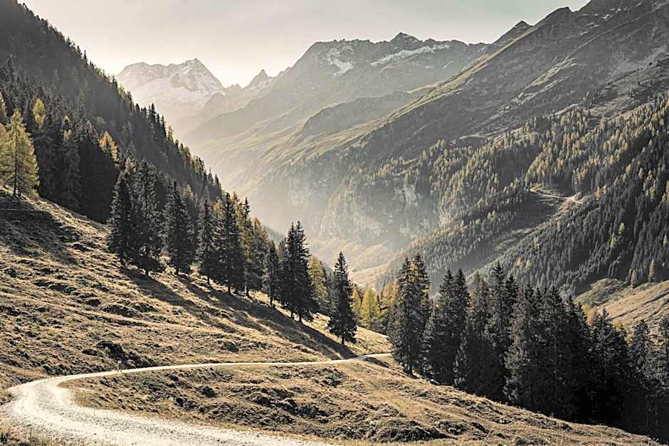 ASTER Boutique Hotel & Chalets