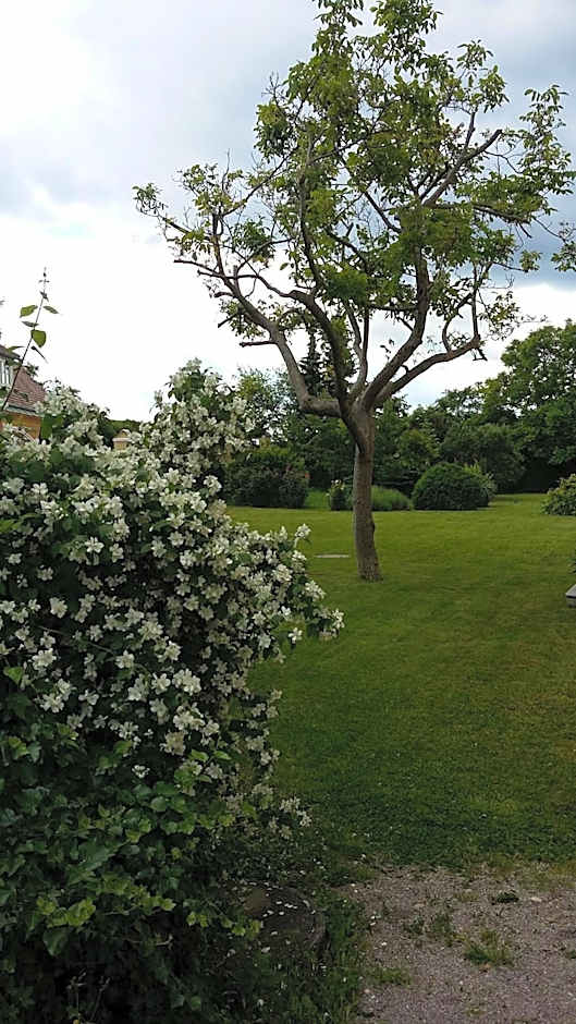 Schloss Gumpoldskirchen