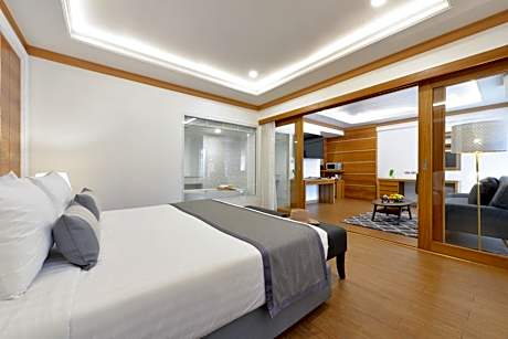 1 Bed Room Suite with Living area