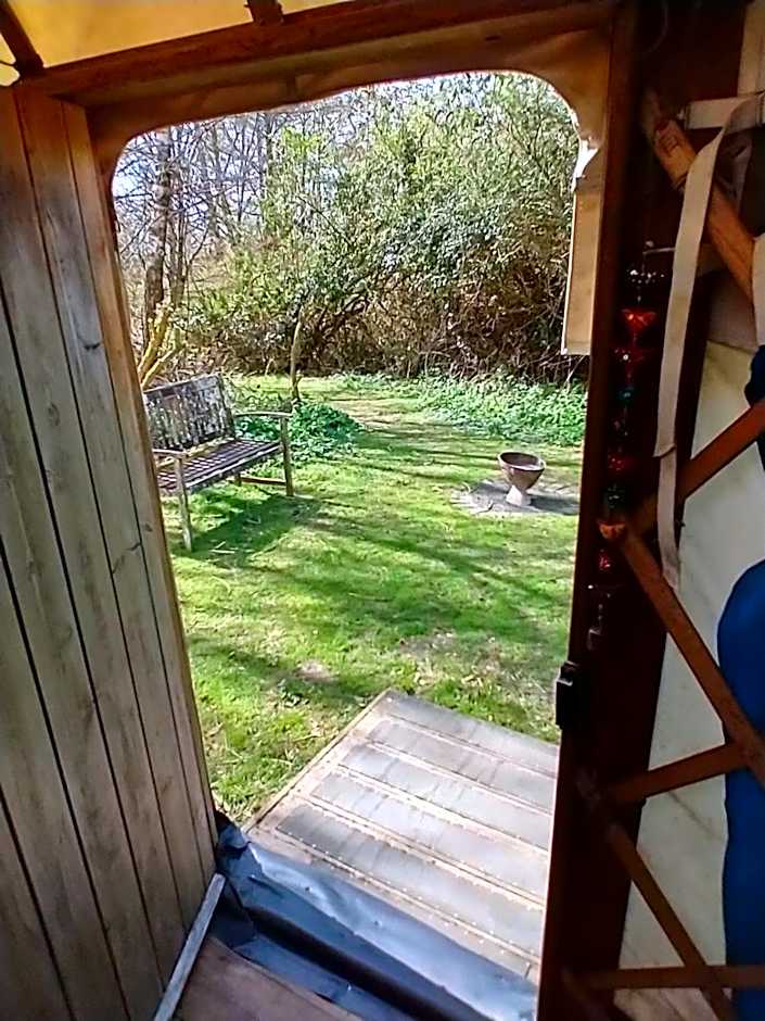 South Downs Eco Lodge & Camping