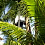 WishTulum