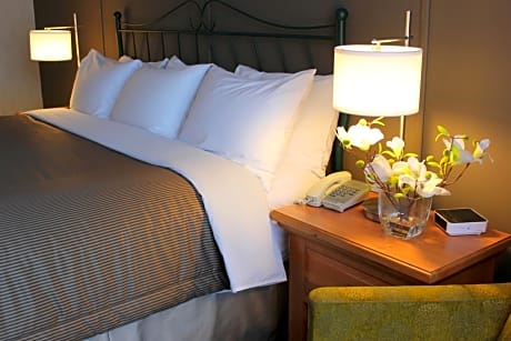 Standard King Room with City View