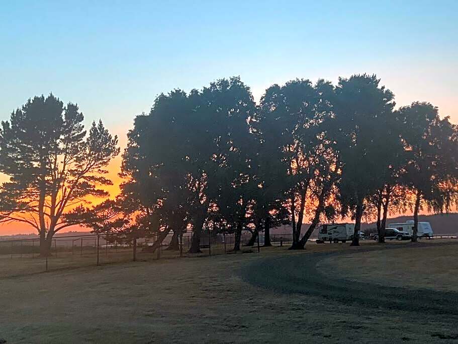 Willapa Bay House (dot) Com