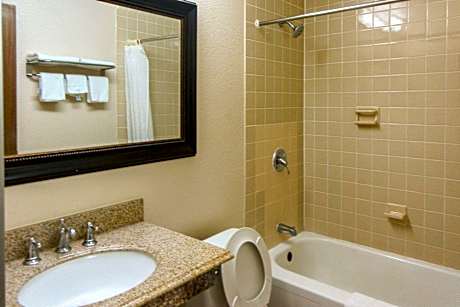 1 King Bed, Nonsmoking