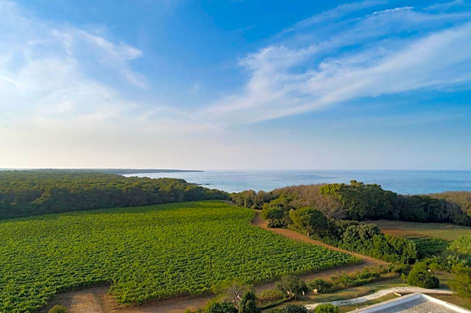 Masseria Mongio dell'Elefante