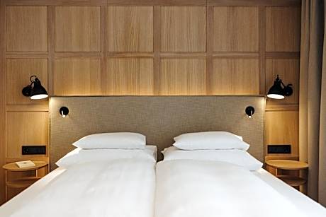 Double Room with Mountain View