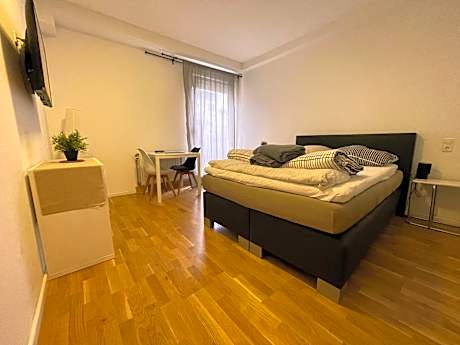 Simplex Apartments Am Ludwigsplatz