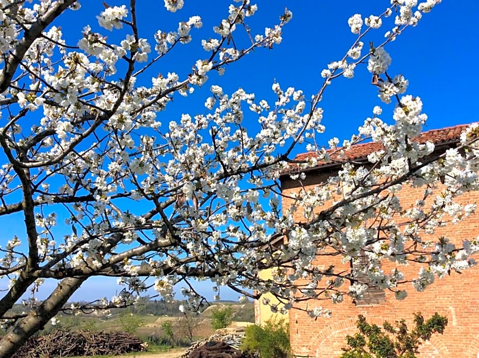 Cascina Valtignosa Camere Con Vigna